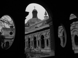 Monocromas